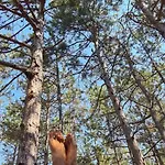 公寓 Cozy With Forest View & Bath - 10min Drive To Black Sea