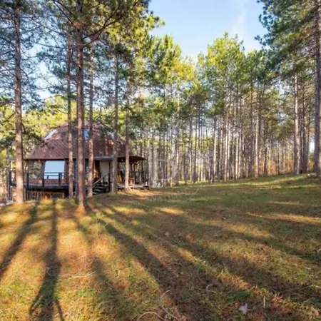 Cozy With Forest View & Bath - 10min Drive To Black Sea 公寓 瓦爾納