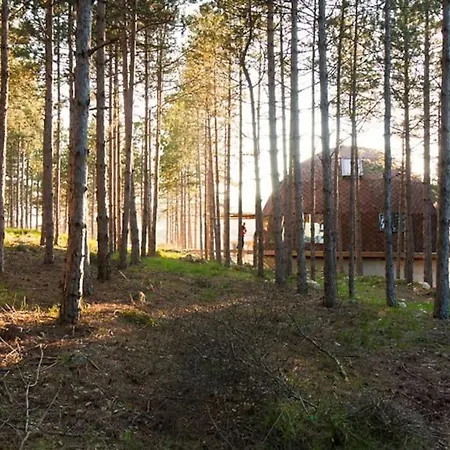 Cozy With Forest View & Bath - 10min Drive To Black Sea *