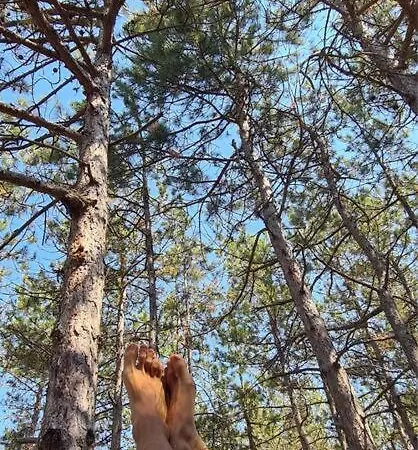 公寓 Cozy With Forest View & Bath - 10min Drive To Black Sea