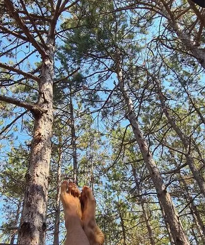 Apartman Cozy With Forest View & Bath - 10min Drive To Black Sea