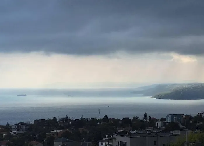 Apartman Cozy With Forest View & Bath - 10min Drive To Black Sea