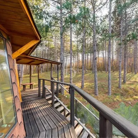 Cozy With Forest View & Bath - 10min Drive To Black Sea Apartamento *