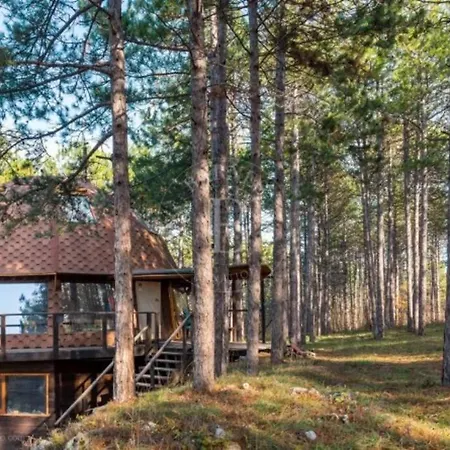 Apartamento Cozy With Forest View & Bath - 10min Drive To Black Sea