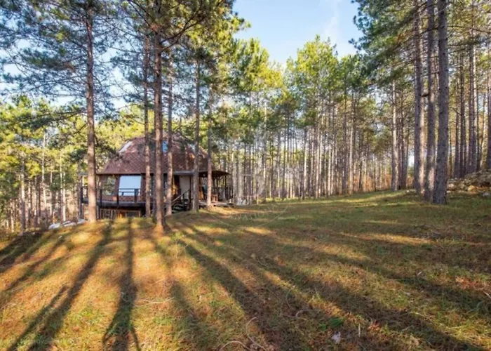 Cozy With Forest View & Bath - 10min Drive To Black Sea Apartment Varna